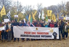 Agroécologie : mobilisation de soutien aux MAEC et aux aides bio