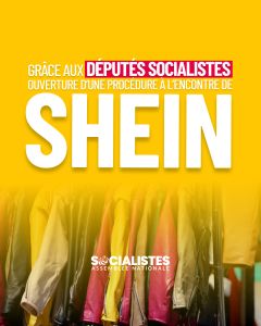 Shein : ouverture d'une procédure par l'OCDE