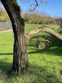 Tempête Ciaran : modalités d'indemnisation des agriculteurs bretons