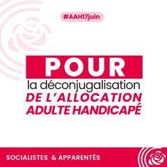 Déconjugalisation de l'Allocation pour adulte handicapé : carton rouge au Gouvernement