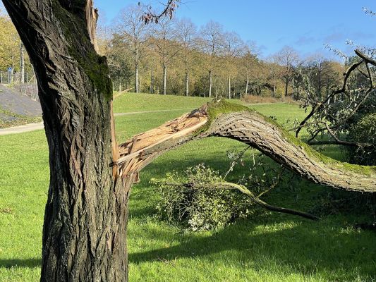 Tempête Ciaran et inondations : modalités d’indemnisation des agriculteurs impactés