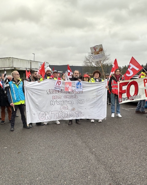 Manifestation pour la sauvegarde des emplois d'Easydis à Gaël